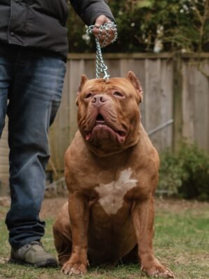 366543E6-35FD-4EC5-A6D5-94ED797CA135 (1)