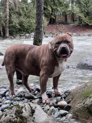 E22220AB-8B43-4D27-A9F0-F9B25FFAC67C